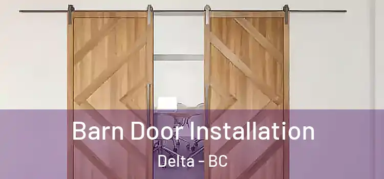 Barn Door Installation Delta - BC