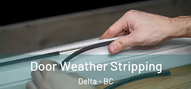 Door Weather Stripping Delta - BC