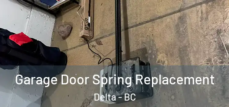  Garage Door Spring Replacement Delta - BC