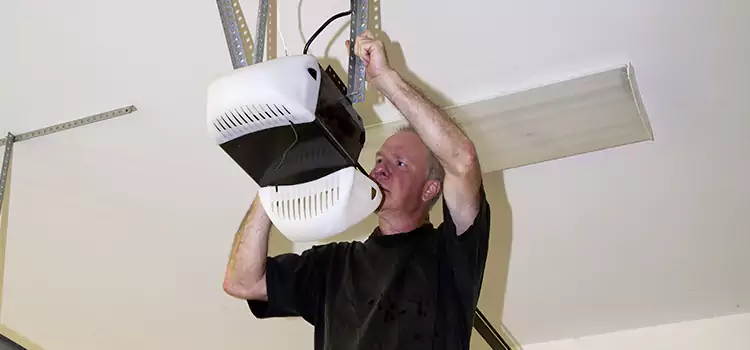 Garage Door Opener Service Delta