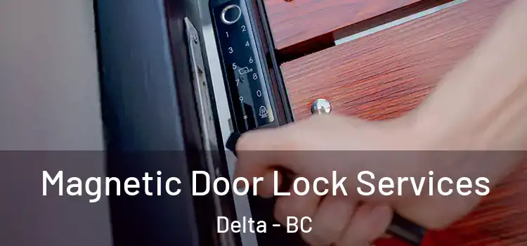 Magnetic Door Lock Services Delta - BC